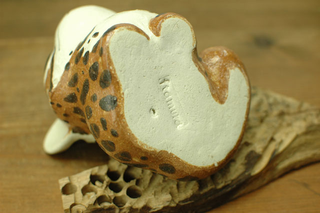 ツシマヤマネコ